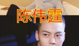 陈飞爆料视频最新消息新闻,揭秘事件背后惊人真相